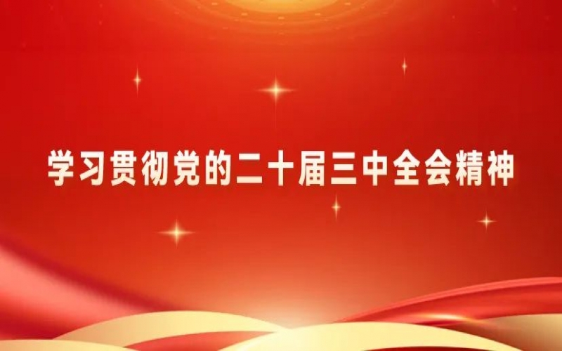 學(xué)習(xí)貫徹黨的二十屆三中全會精神 - 榮程青年為推進(jìn)中國式現(xiàn)代化挺膺擔(dān)當(dāng)（二）